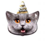 Фигура «Кот — с днем рождения»